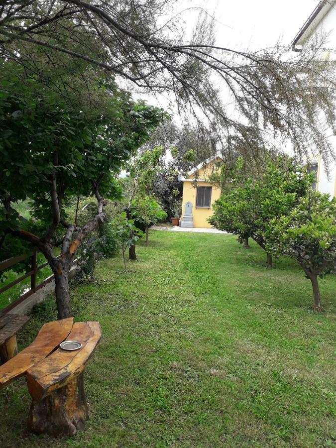 Apartmani Sara Trebinje Zewnętrze zdjęcie